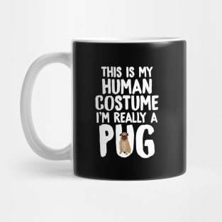 This is my human costume I'm really a pug Mug